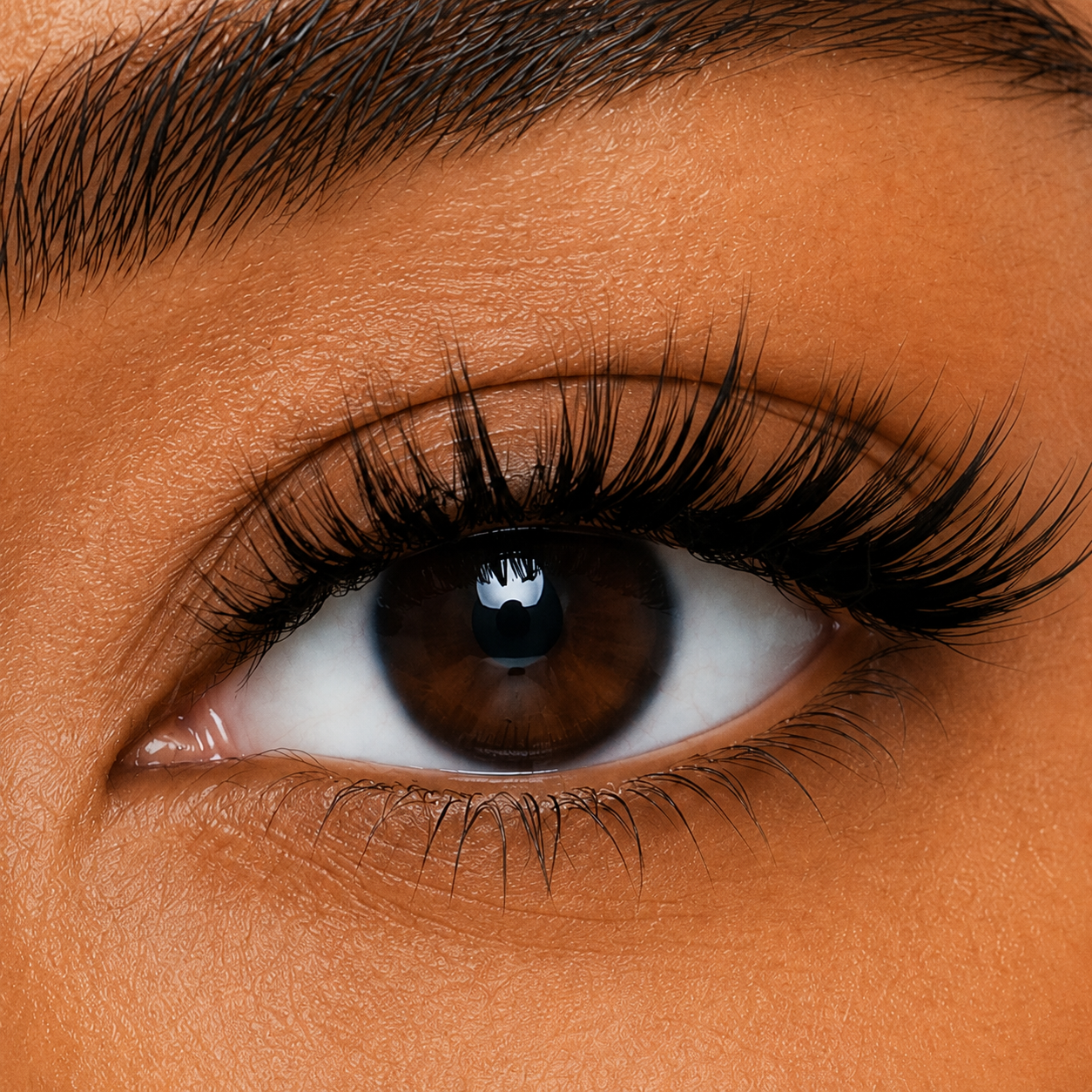 Wispy 02- Iris Black Magnetic Lashes