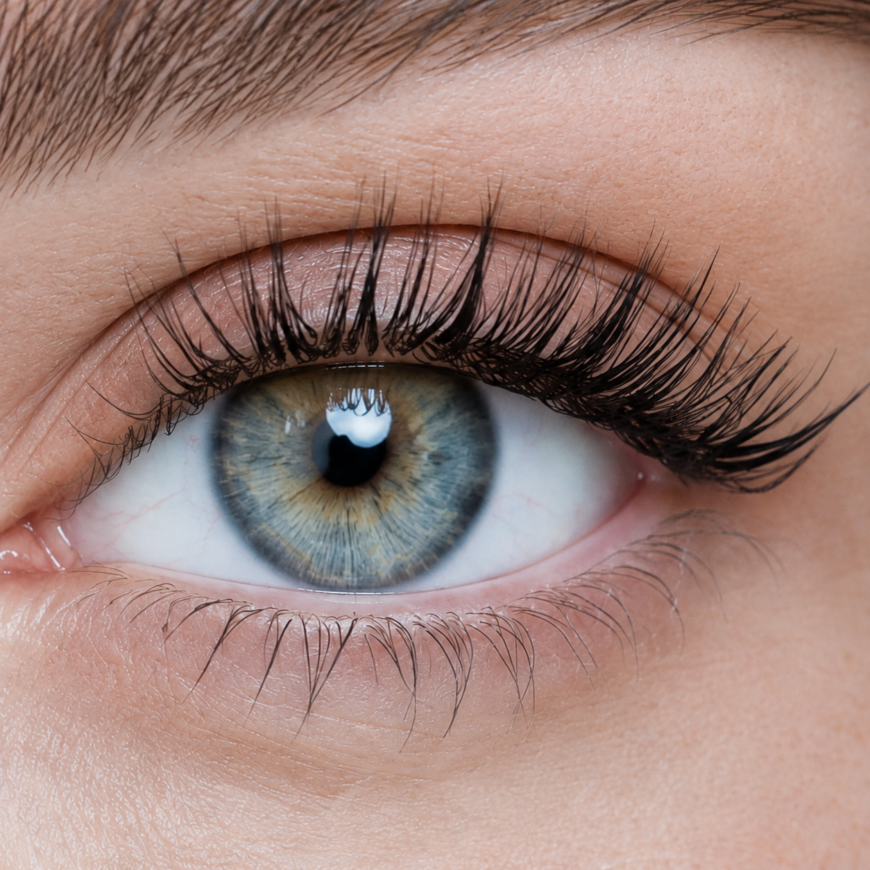 Natural Glam 03 — Pear Blossom Black Soft Cluster Magnetic Lashes