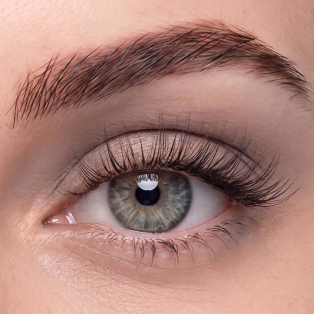 Natural Glam 01 --Soft Definition Magnetic Lashes