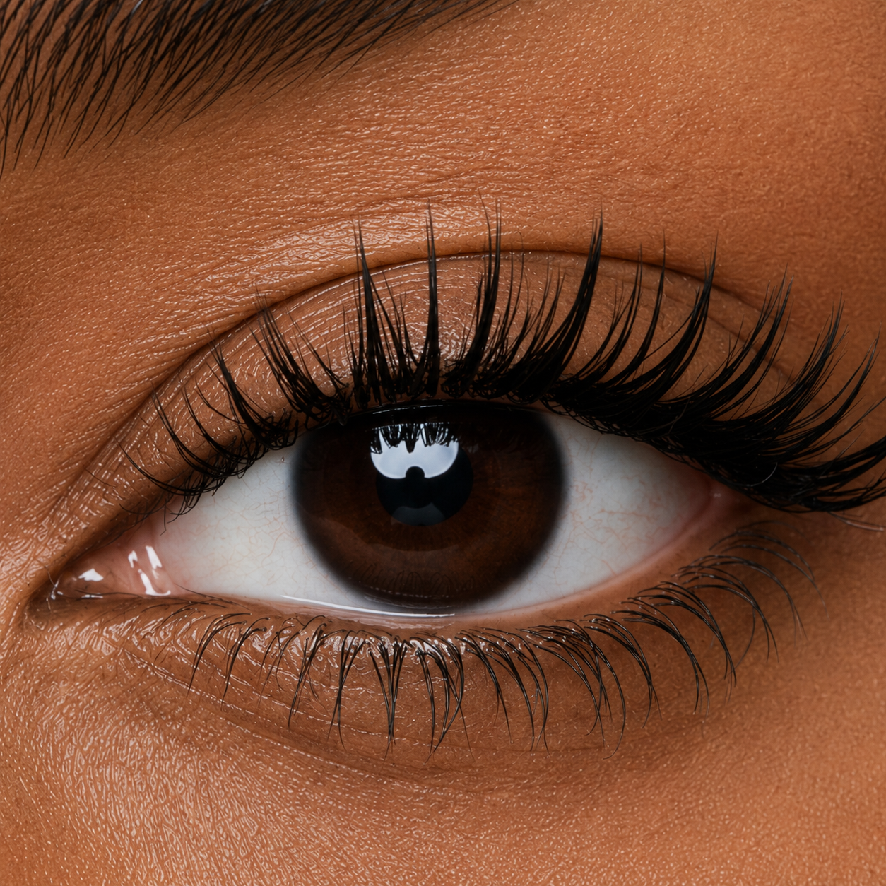 Everyday 04 — Meow Black Wispy Magnetic Lashes