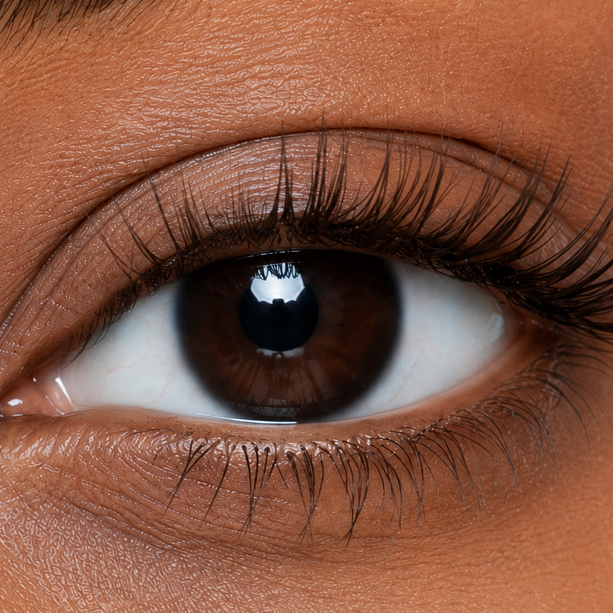 Natural Glam 04 — Sunset Brown Soft Brown Magnetic Lashes