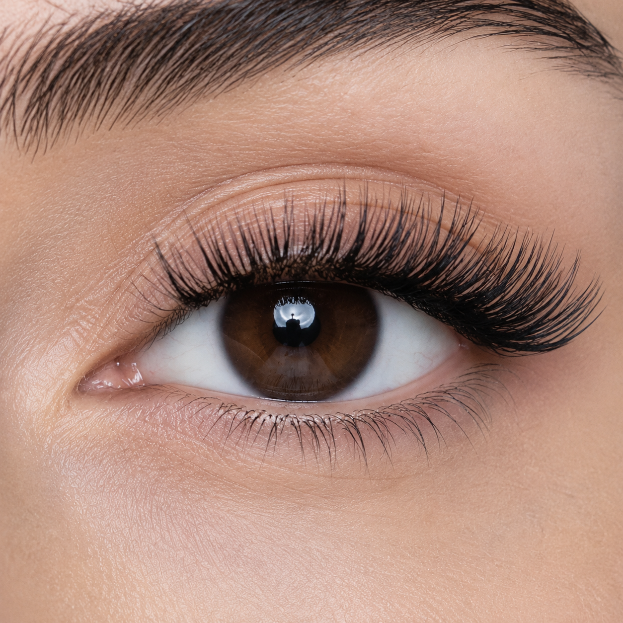 Glam 02 — Golden Moments Magnetic Lashes